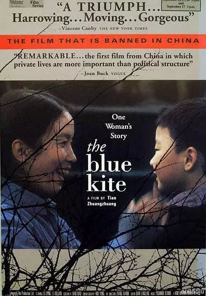 蓝风筝1993 海报