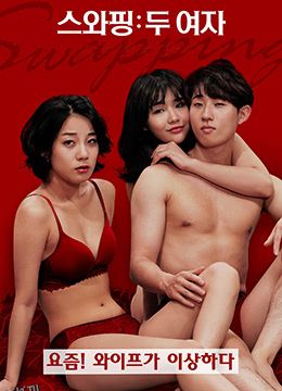 交换：两个女孩 海报