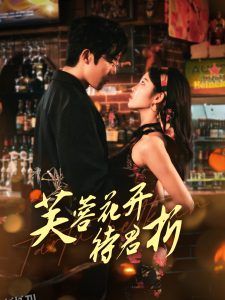 芙蓉花开待君折 海报