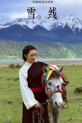 雪莲花盛开的地方 海报