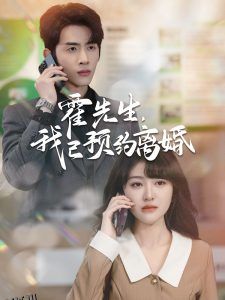 霍先生我已预约离婚 海报