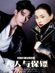 夫人与保镖 海报