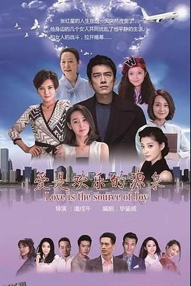 爱是欢乐的源泉 海报