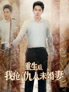 重生后我抢了仇人未婚妻 高清海报