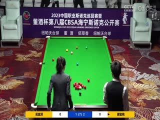 斯诺克 吴宜泽4-3谢金桃 20230519（李照） 海报