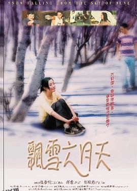 飘雪六月天 海报