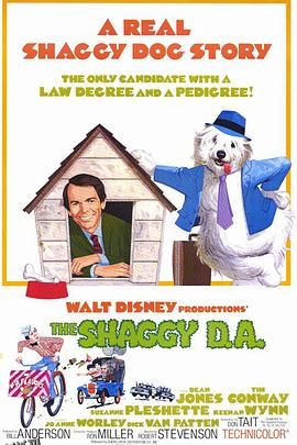 长毛检察官 海报