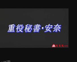 董事秘书安奈 海报