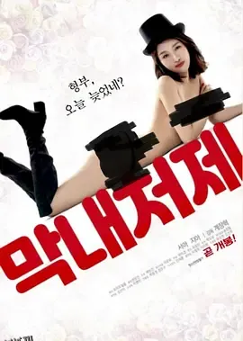 最年轻的小姨子 海报