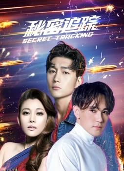 秘密追踪 海报