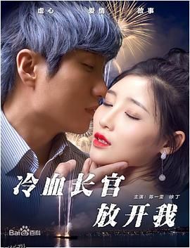 冷血长官放开我 海报