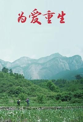 为爱重生 海报