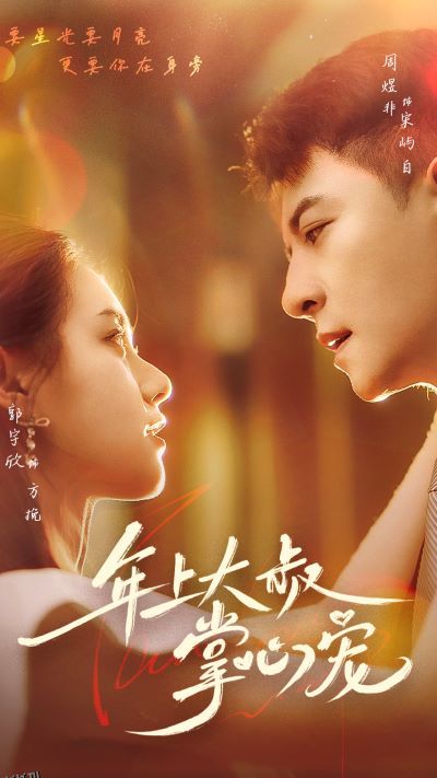 年上大叔掌心宠 海报