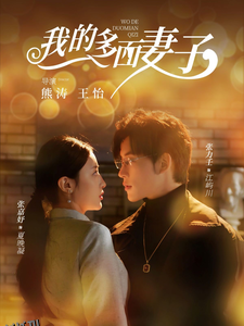 我的多面妻子 高清海报