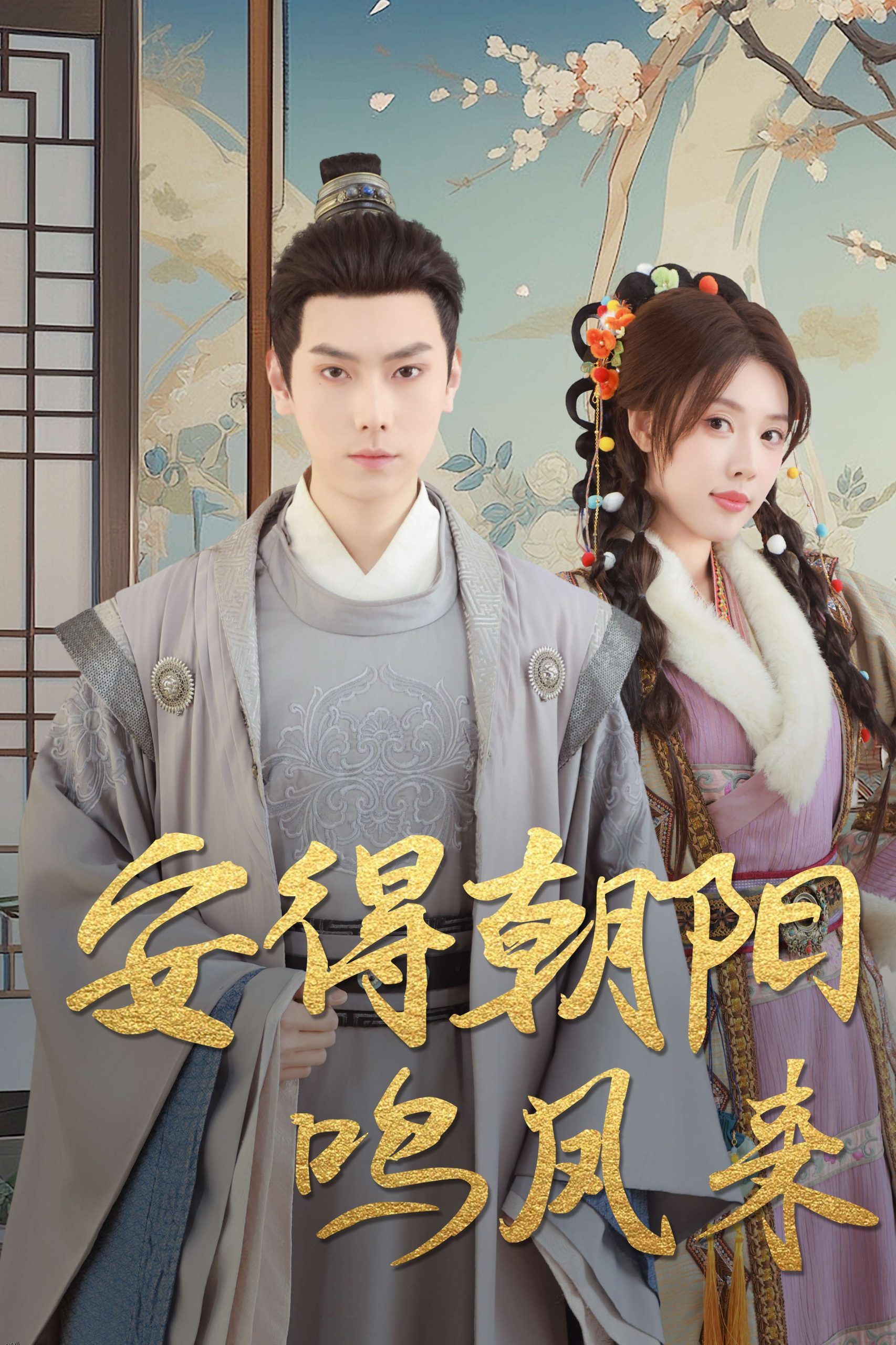 安得朝阳鸣凤来 海报