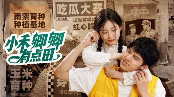 小禾卿卿有点田 高清海报