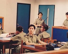 法本无情粤语 海报