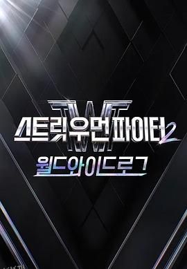 街头女斗士2：全球日志 海报