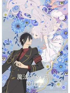 魔法少女与恶曾是敌人。 海报