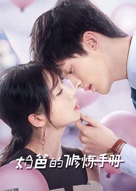 奶爸的修炼手册 海报