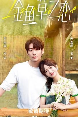 无法抗拒的谎言 海报