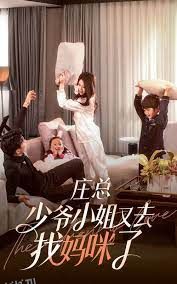 庄少，少爷小姐又去找妈咪了 海报