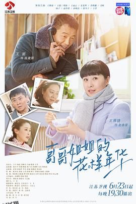 哥哥姐姐的花样年华 海报