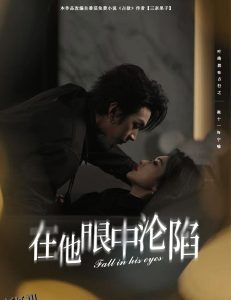 在他眼中沦陷 海报