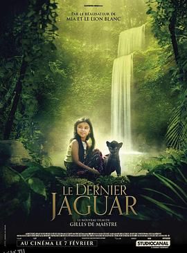 最后的美洲豹 海报