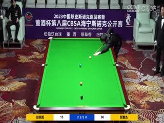 斯诺克 张智杰2-4彭奕淞 20230517（李照） 海报