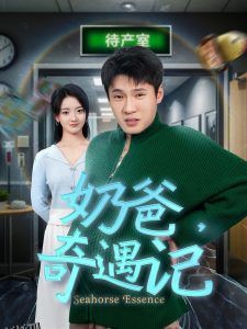 奶爸奇遇记 海报