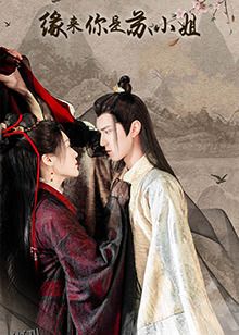 缘来你是苏小姐 海报