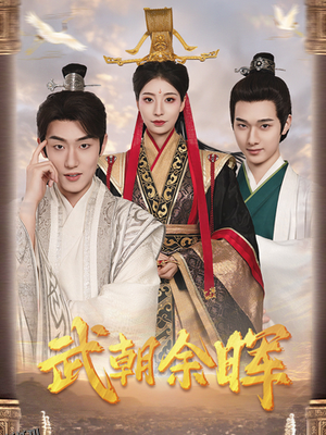 武朝余晖 海报