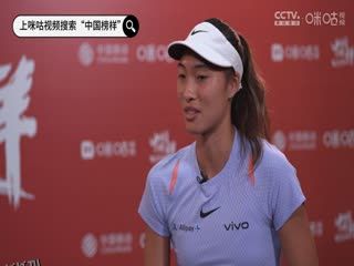 英超联赛 托特纳姆热刺VS狼队 20241229 高清海报