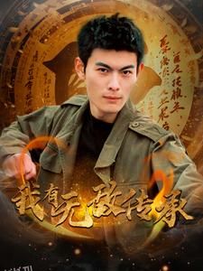 我有无敌传承 海报