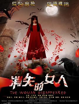 消失的女人2016 海报