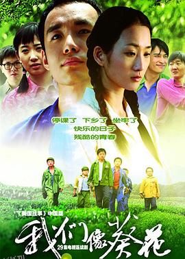 我们像葵花 海报