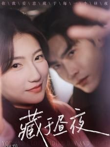 藏于昼夜68集 高清海报