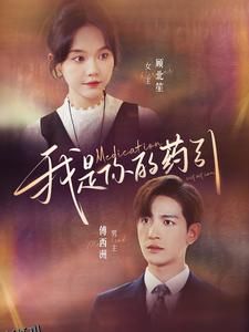 我是你的药引 海报