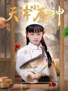天降小厨神 海报