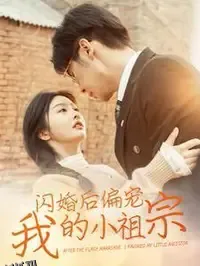 闪婚后偏宠我的小祖宗 海报