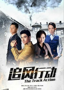 追风行动 海报