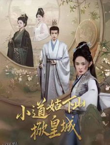 小道姑下山掀皇城 海报