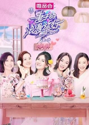 妻子的浪漫旅行3 狗粮小铺 海报