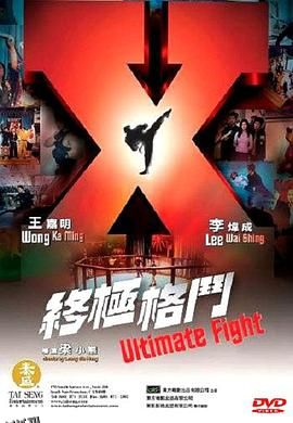 终极格斗 海报