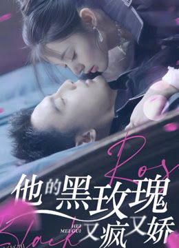他的黑玫瑰又疯又娇 海报