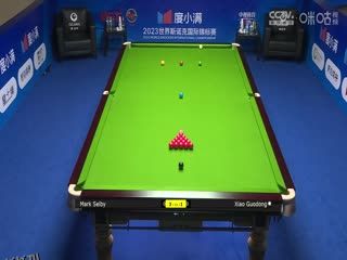 斯诺克天津国锦赛32进16马克·塞尔比6-2肖国栋 20231107 海报