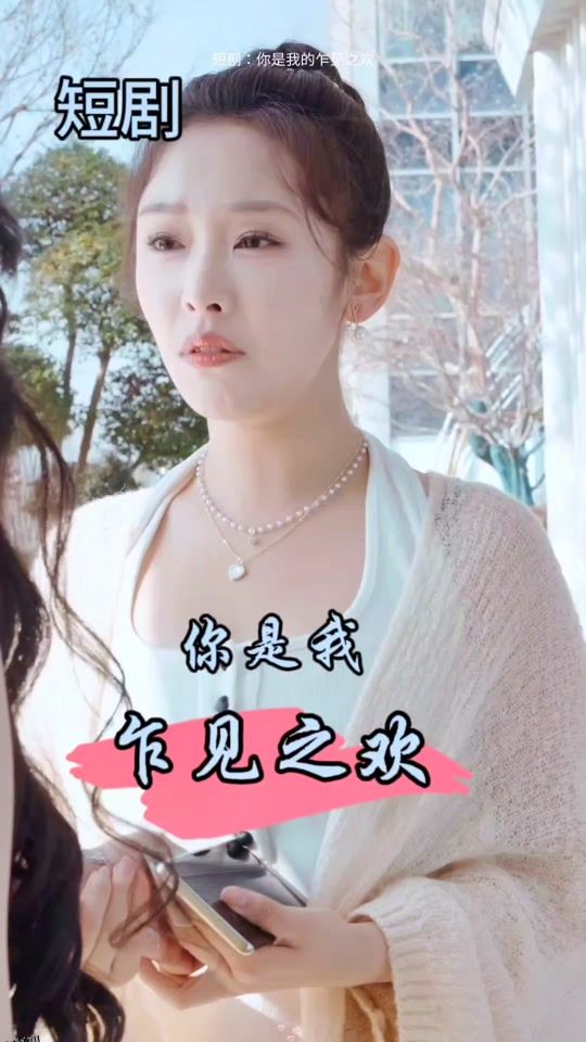 你是我的乍见之欢 海报