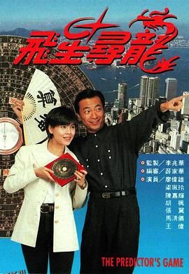 飞星寻龙粤语 海报