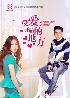 爱开始的地方 海报